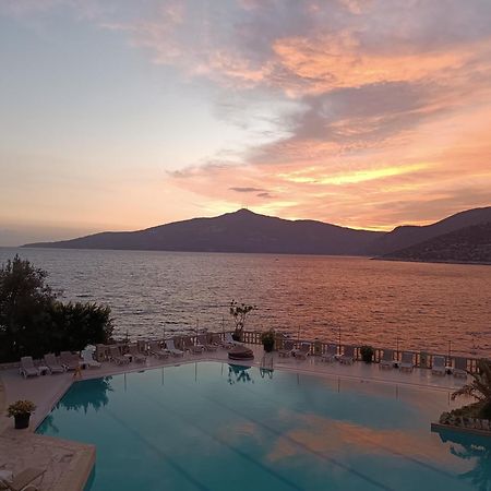 Cactus Garden Kalkan - Club Patara Villas Eksteriør bilde