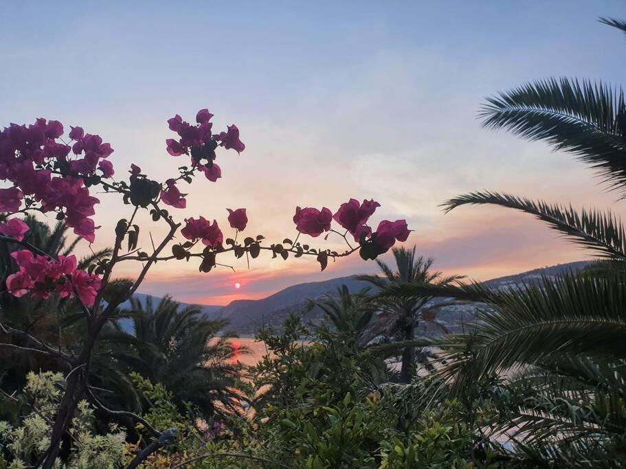 Cactus Garden Kalkan - Club Patara Villas Eksteriør bilde