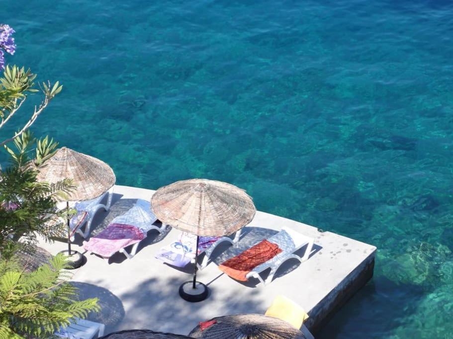 Cactus Garden Kalkan - Club Patara Villas Eksteriør bilde